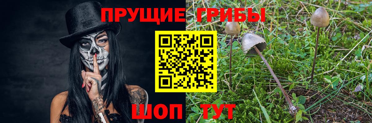 Кумертау  Галлюциногенные грибы GOLDEN TEACHER  Вход с VPN  Галлюциногенные грибы мухоморы 